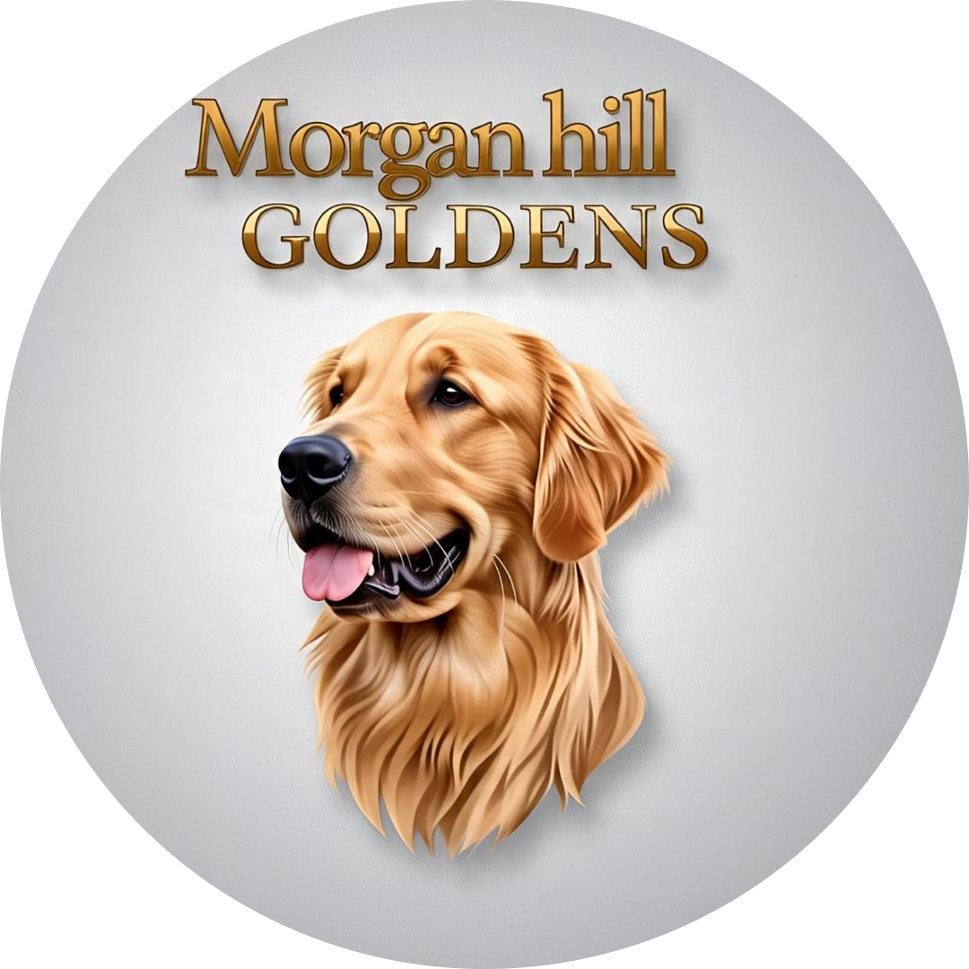 Morgan Hill Golden Retrievers Logo